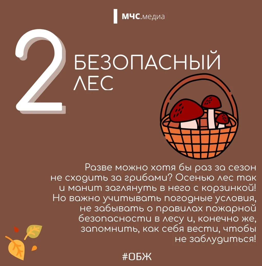 3 (1)