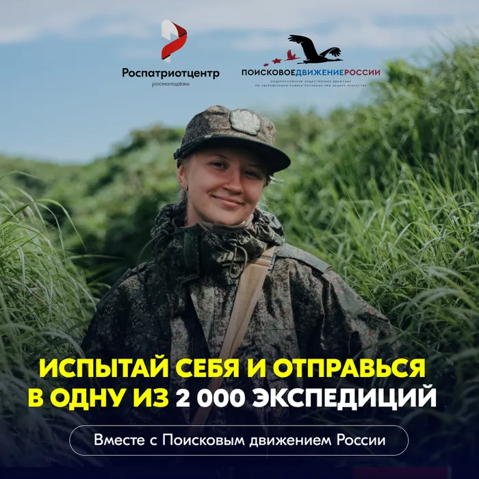 пдр1