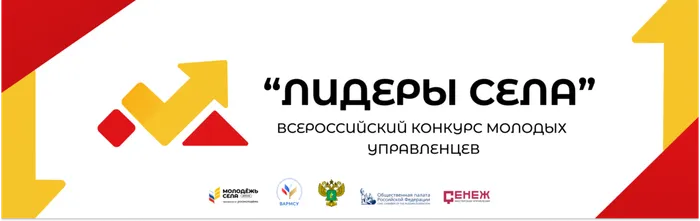 Баннер Лидеры села (большой)
