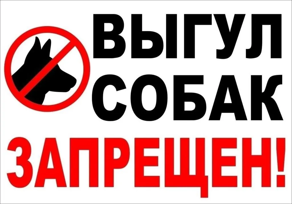 TtgHcpkdlwZHYBiP2DZO_UWn9bRpaKEvf2W1Kr17zard7OcY9BYr1MqsVmW782WTdc-A7yDB8q7jcIGM_ZpDyCFZ