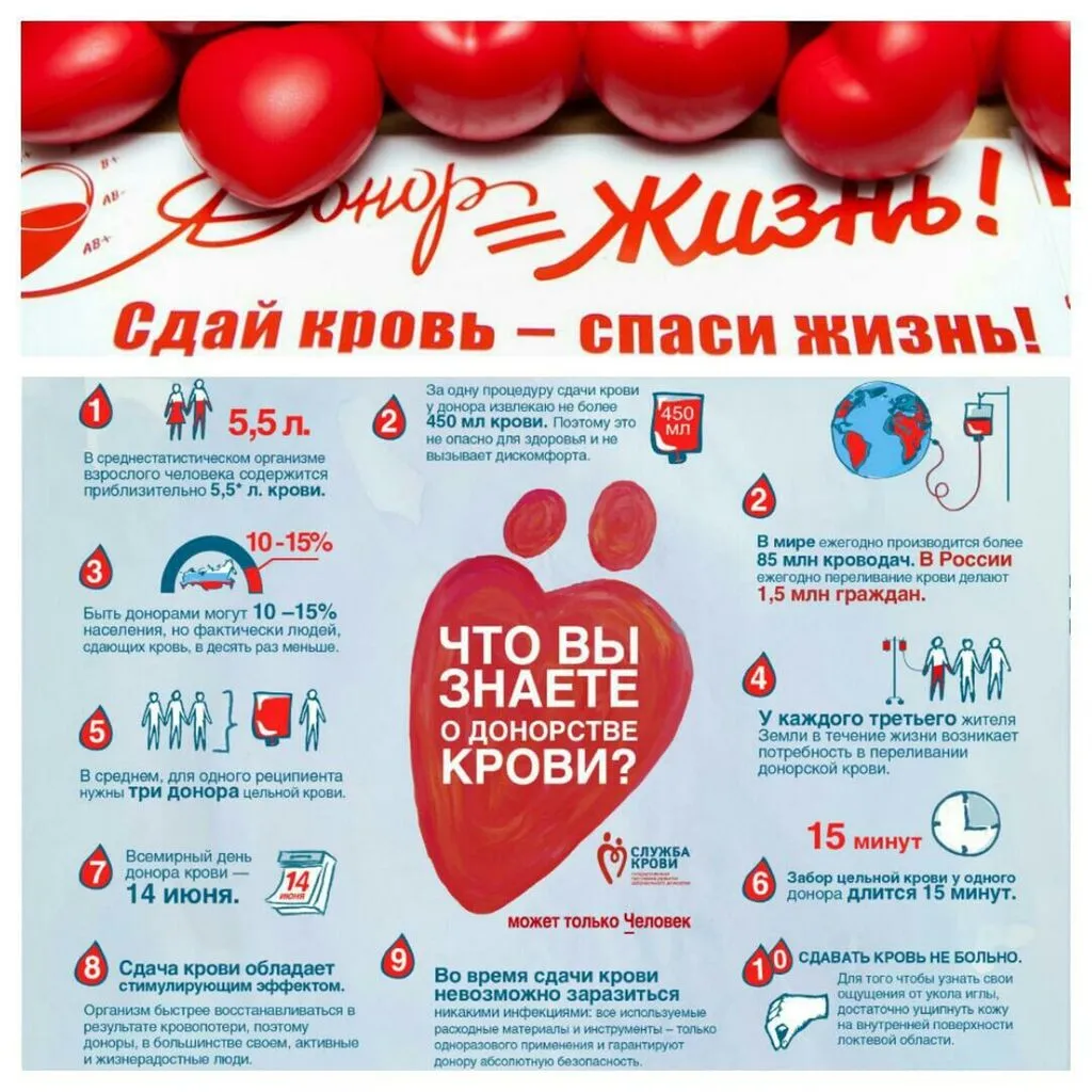 1688169355_bronk-club-p-den-donora-pozdravleniya-pinterest-74 (1)