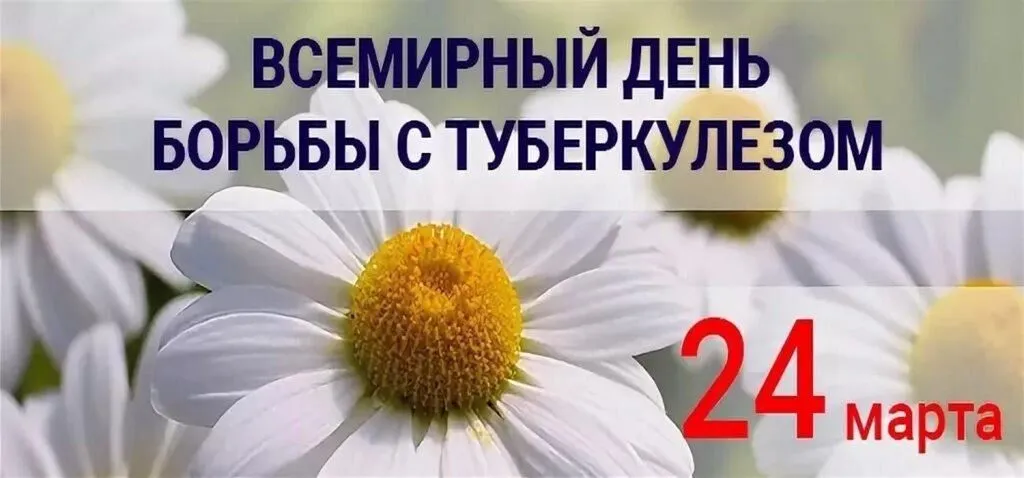 98258482