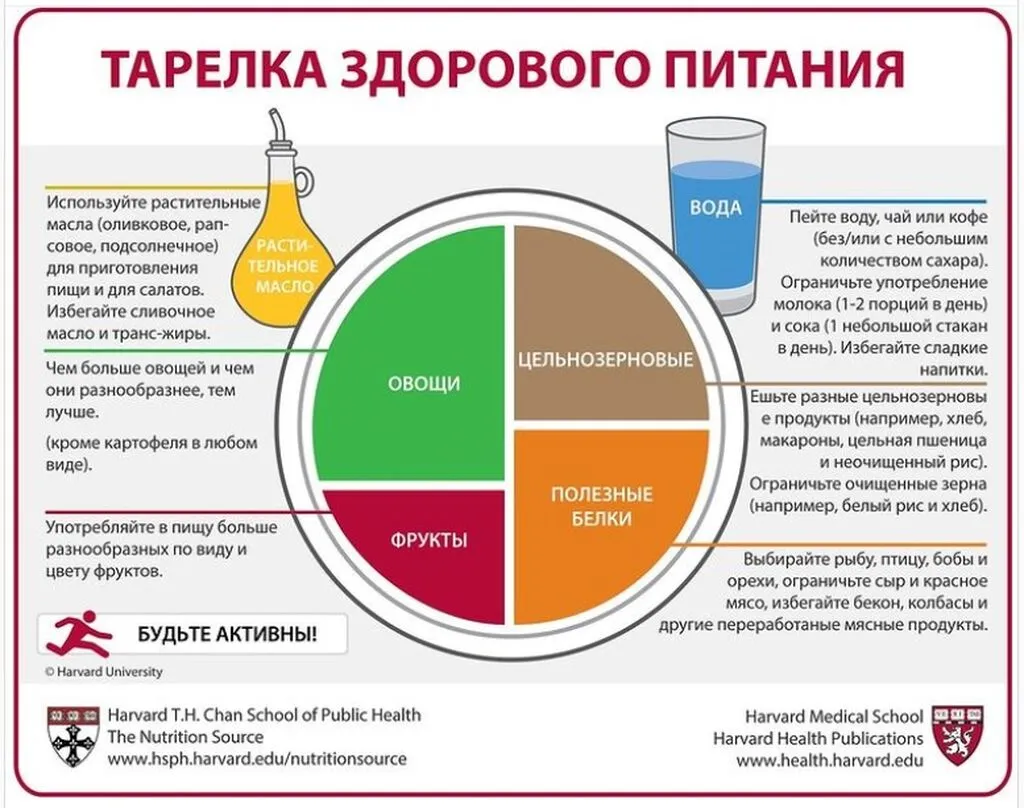Здоровая тарелка (3)