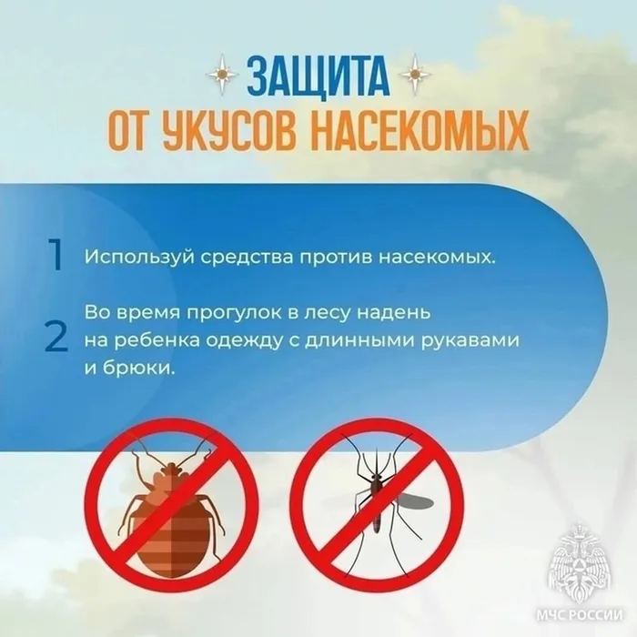 u-7GOi6GHuEyCiVFrfoFE1T_oaW1G57wTHblvxVFbQw54g5KpBCuwIdBmbMY-skrNYNPiS_yeEqS6Fof3DHGg2NT